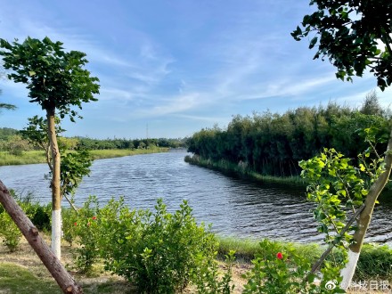 植被覆盖率60.66%！在湄洲岛看碧海蓝天金沙