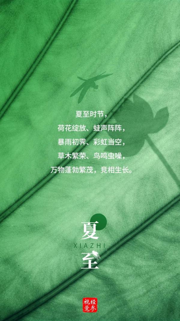 夏至 | 向阳而立，逐光而行