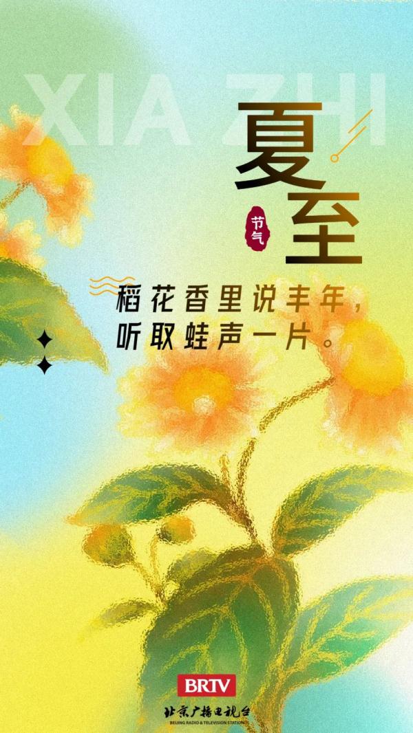 夏至丨盛夏起点,荷花绽放,蛙鸣声声 夏至丨盛夏起点,荷花绽放,蛙鸣声声