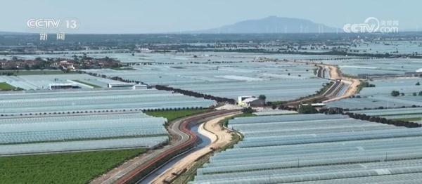 大棚冬枣抢鲜上市 “农业+旅游”融合推广“家乡好物” 大棚冬枣抢鲜上市 “农业+旅游”融合推广“家乡好物”