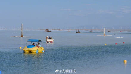 初夏的茶卡盐湖有多美