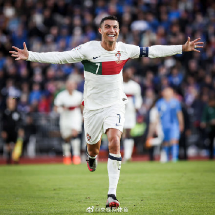 冰岛0比1葡萄牙