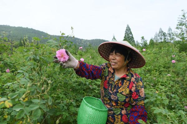 “千万工程”调研行丨浙江湖州:山区小镇的“美丽逆袭” “千万工程”调研行丨浙江湖州:山区小镇的“美丽逆袭”