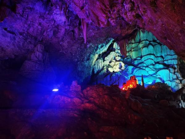 想体验15℃的夏天？来坐这条“避暑高铁”