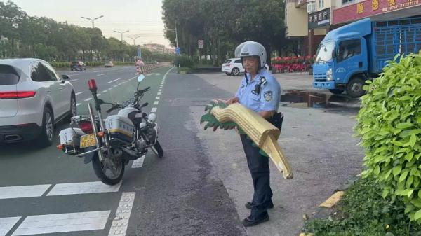 “神龙见首不见尾”！哪位房东的龙尾丢了？快来领！