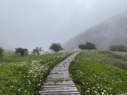 重庆蝴蝶纪录上新 此蝶颜值超高 重庆蝴蝶纪录上新 此蝶颜值超高