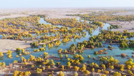 全球新增绿化面积四分之一来自中国 全球新增绿化面积四分之一来自中国