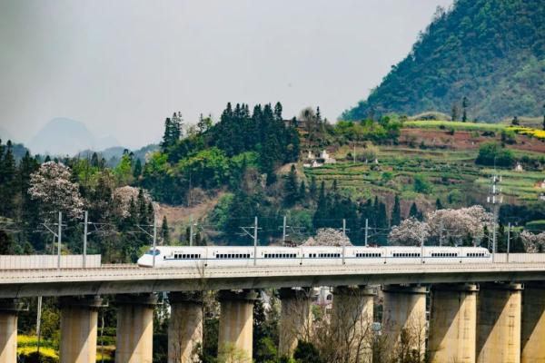 想体验15℃的夏天？来坐这条“避暑高铁”