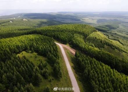 全球新增绿化面积四分之一来自中国 全球新增绿化面积四分之一来自中国