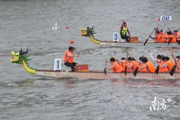 划龙舟赢了减房租?输了跪祠堂?广州“房东”这样说 划龙舟赢了减房租?输了跪祠堂?广州“房东”这样说