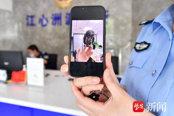 保护动物猫头鹰受伤，警民接力暖心救助