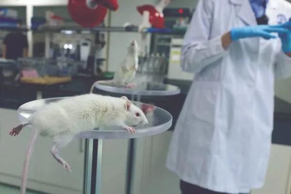 毒品实验室，是他们的战场！