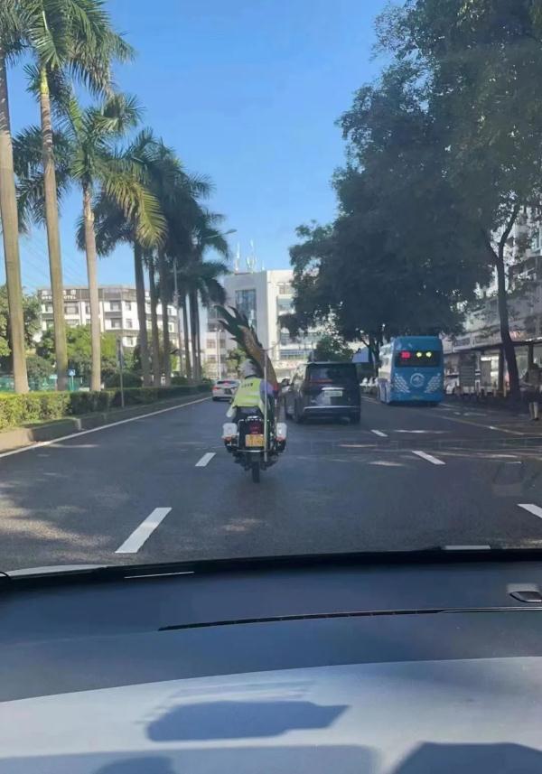 “神龙见首不见尾”！哪位房东的龙尾丢了？快来领！