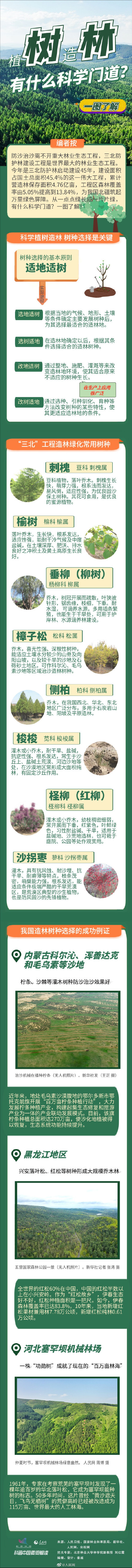 从一点点绿长成一片片绿，植树造林有什么门道？