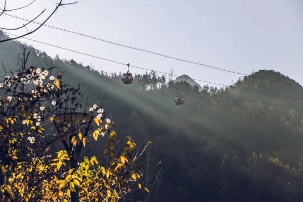 想体验15℃的夏天？来坐这条“避暑高铁”