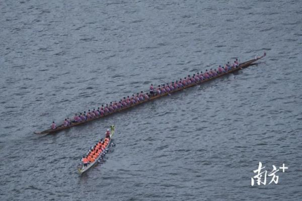 划龙舟赢了减房租?输了跪祠堂?广州“房东”这样说 划龙舟赢了减房租?输了跪祠堂?广州“房东”这样说
