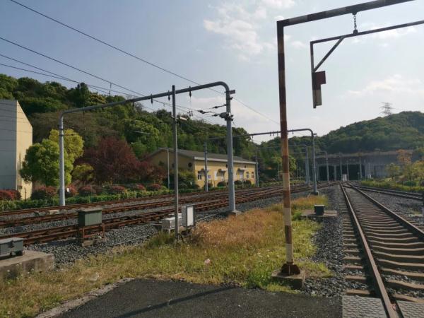 小伙晒出一本驾驶证火了！网友好奇：开4000多万的车是什么体验？