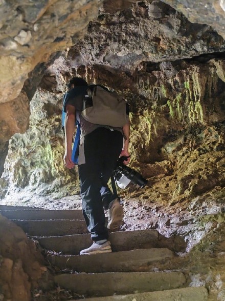 重庆蝴蝶纪录上新 此蝶颜值超高 重庆蝴蝶纪录上新 此蝶颜值超高