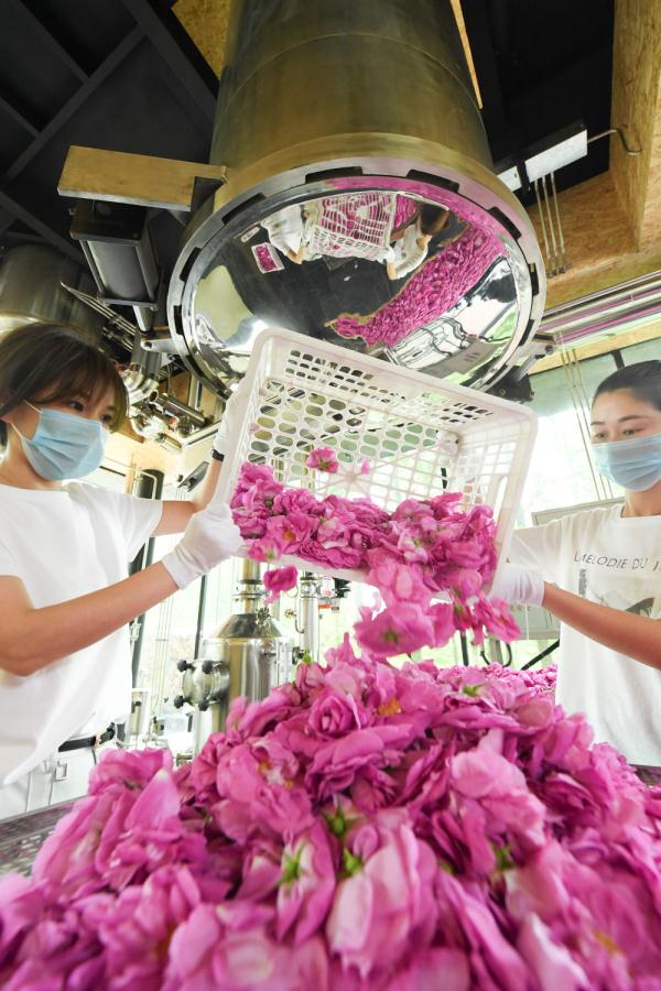 “千万工程”调研行丨浙江湖州:山区小镇的“美丽逆袭” “千万工程”调研行丨浙江湖州:山区小镇的“美丽逆袭”