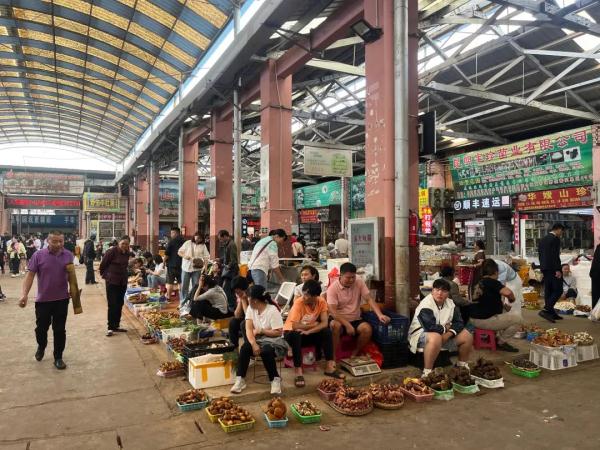 大量上市，价格大降！每天50吨进入昆明……