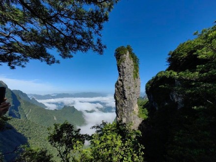 重庆蝴蝶纪录上新 此蝶颜值超高 重庆蝴蝶纪录上新 此蝶颜值超高
