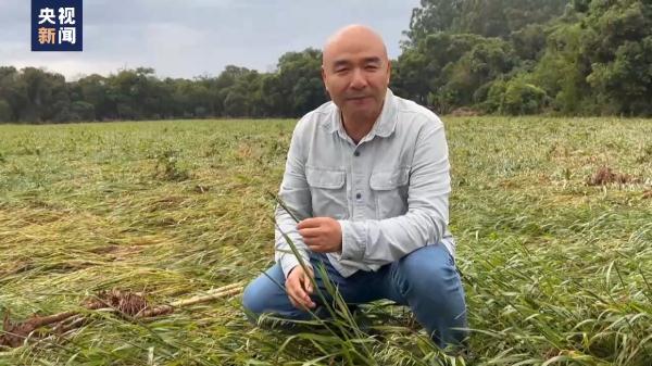 巴西南部多地遭遇强降雨 救援工作展开 恢复基建尚需时日