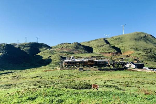 想体验15℃的夏天？来坐这条“避暑高铁”