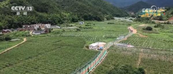 打造“果旅融合”新路径 小小百香果成为“致富果”“幸福果” 打造“果旅融合”新路径 小小百香果成为“致富果”“幸福果”