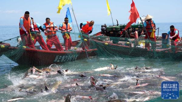 新疆博斯腾湖第十六届开湖季捕鱼节开幕