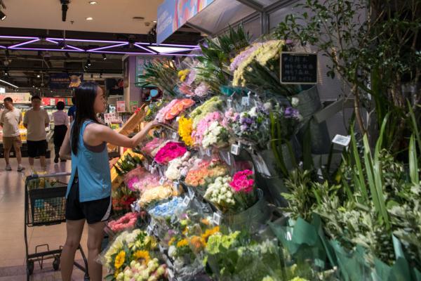 看川| 粽飘香 消费旺