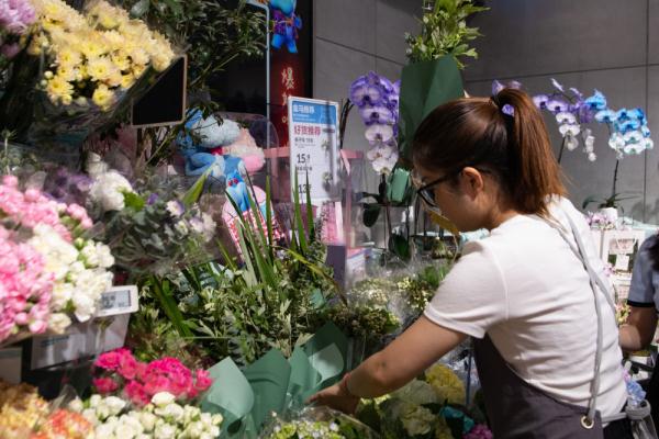 看川| 粽飘香 消费旺