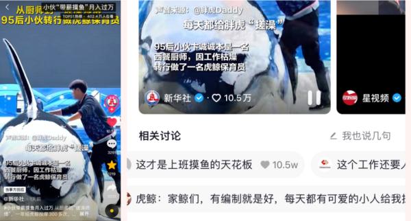 “带薪摸鱼”！虎鲸和保育员成“带票”高手，“职人”有多厉害