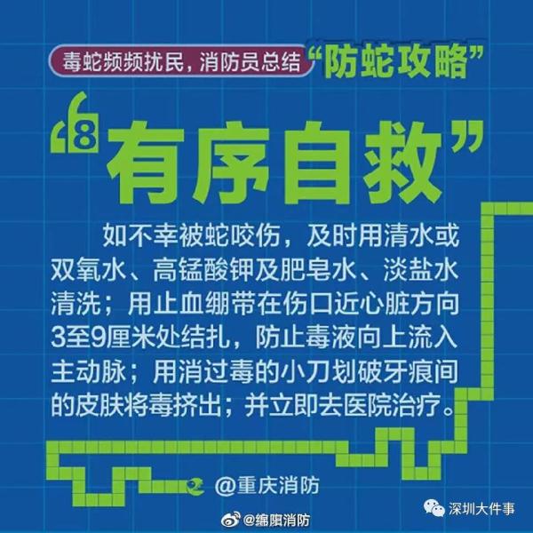 吓人！广东一公园惊现巨蟒缠树！网友：头皮发麻