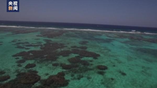 泰国和美国两地大量鱼类死亡 或与海洋升温有关