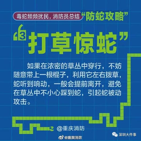 吓人！广东一公园惊现巨蟒缠树！网友：头皮发麻