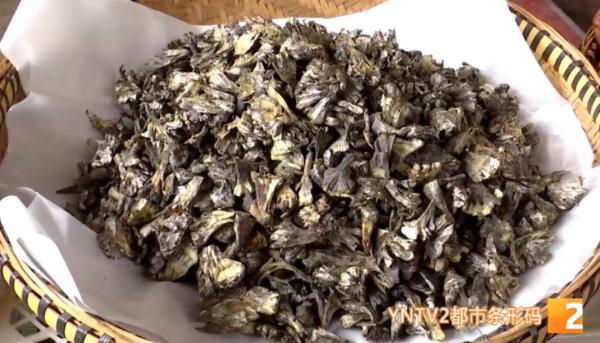 顶级松茸8000元/公斤,牛肝菌降至百元!端午小长假,野生菌热卖 顶级松茸8000元/公斤,牛肝菌降至百元!端午小长假,野生菌热卖