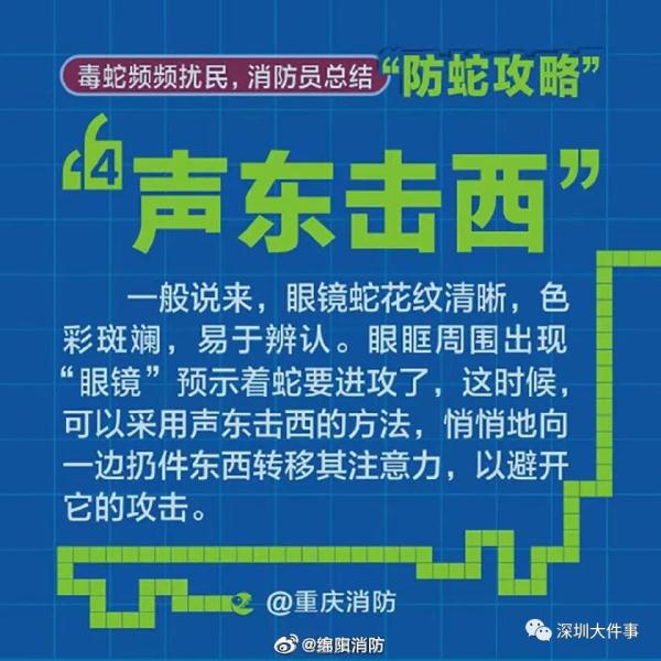 吓人！广东一公园惊现巨蟒缠树！网友：头皮发麻