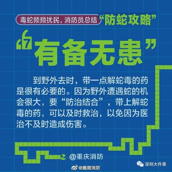 吓人！广东一公园惊现巨蟒缠树！网友：头皮发麻