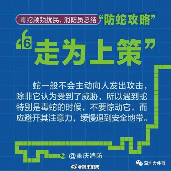 吓人！广东一公园惊现巨蟒缠树！网友：头皮发麻