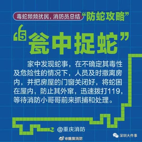 吓人！广东一公园惊现巨蟒缠树！网友：头皮发麻