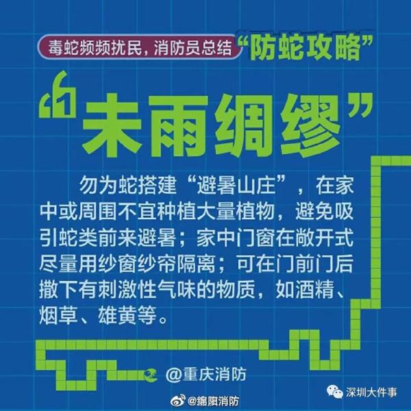 吓人！广东一公园惊现巨蟒缠树！网友：头皮发麻