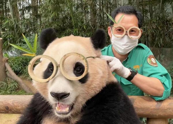 顶流“小公主”要回国相亲了！