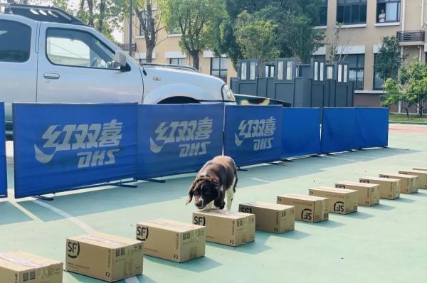 警犬冷知识：缉毒犬养成手册