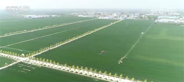 特殊保护永久基本农田 太空视角下的中国大地活力满满