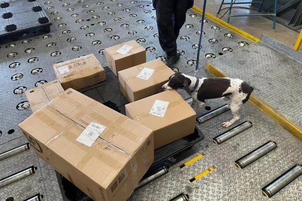 警犬冷知识：缉毒犬养成手册