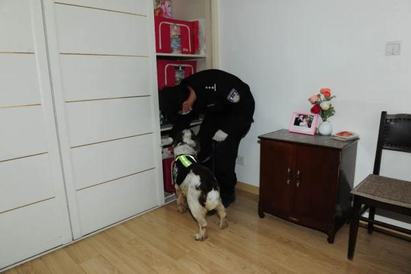 警犬冷知识：缉毒犬养成手册