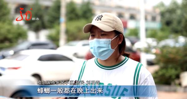 小区楼道里的生物让人头皮发麻,居民不敢回家...... 小区楼道里的生物让人头皮发麻,居民不敢回家......