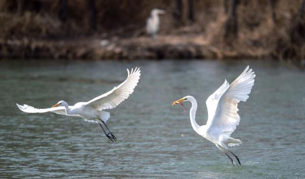 太原：一泓清水画锦绣