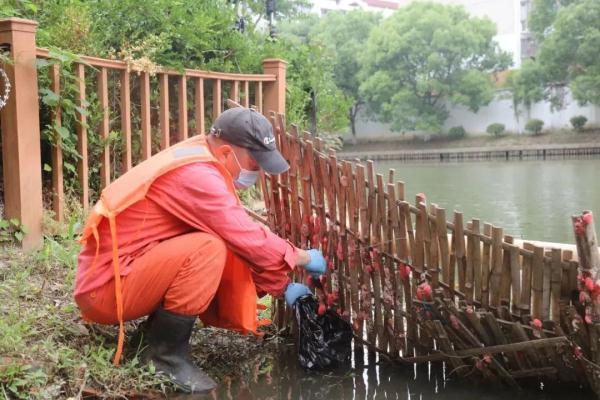 多地已出现！别触碰，严重或致人死亡！