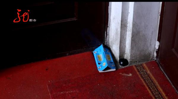 小区楼道里的生物让人头皮发麻,居民不敢回家...... 小区楼道里的生物让人头皮发麻,居民不敢回家......